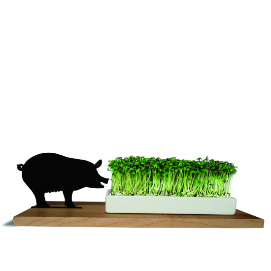 Kresseschale Schwein aus Holz / Porzellan 27 cm von SIDE BY SIDE