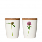 Preview: Becher Klee, 240 ml, Porzellan von SIMPLY FLOWERS