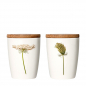 Preview: Becher Wilde Karotte, 240 ml, Porzellan von SIMPLY FLOWERS