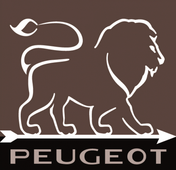 Meersalzmühle Oléron schokolade Acryl / Holz 14 cm hoch von PEUGEOT