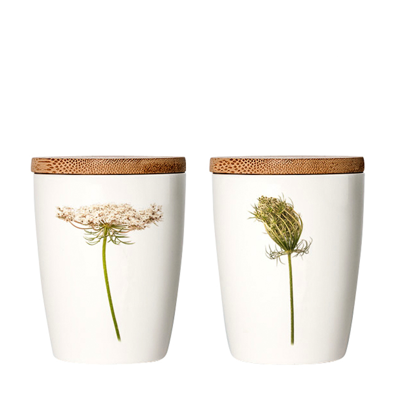 Becher Wilde Karotte, 240 ml, Porzellan von SIMPLY FLOWERS