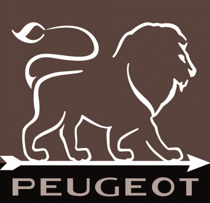 Meersalzmühle Oléron schokolade Acryl / Holz 14 cm hoch von PEUGEOT